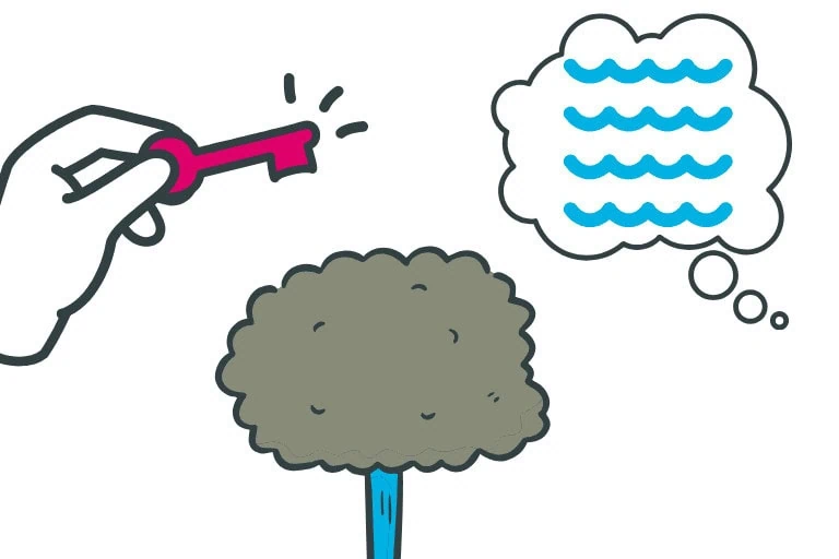Artikel im COATRAIN® Blog zu Symbolen im Coaching, die Erfahrungen, Emotionen und Lebensbewegungen verdichten. COATRAIN® Hamburg